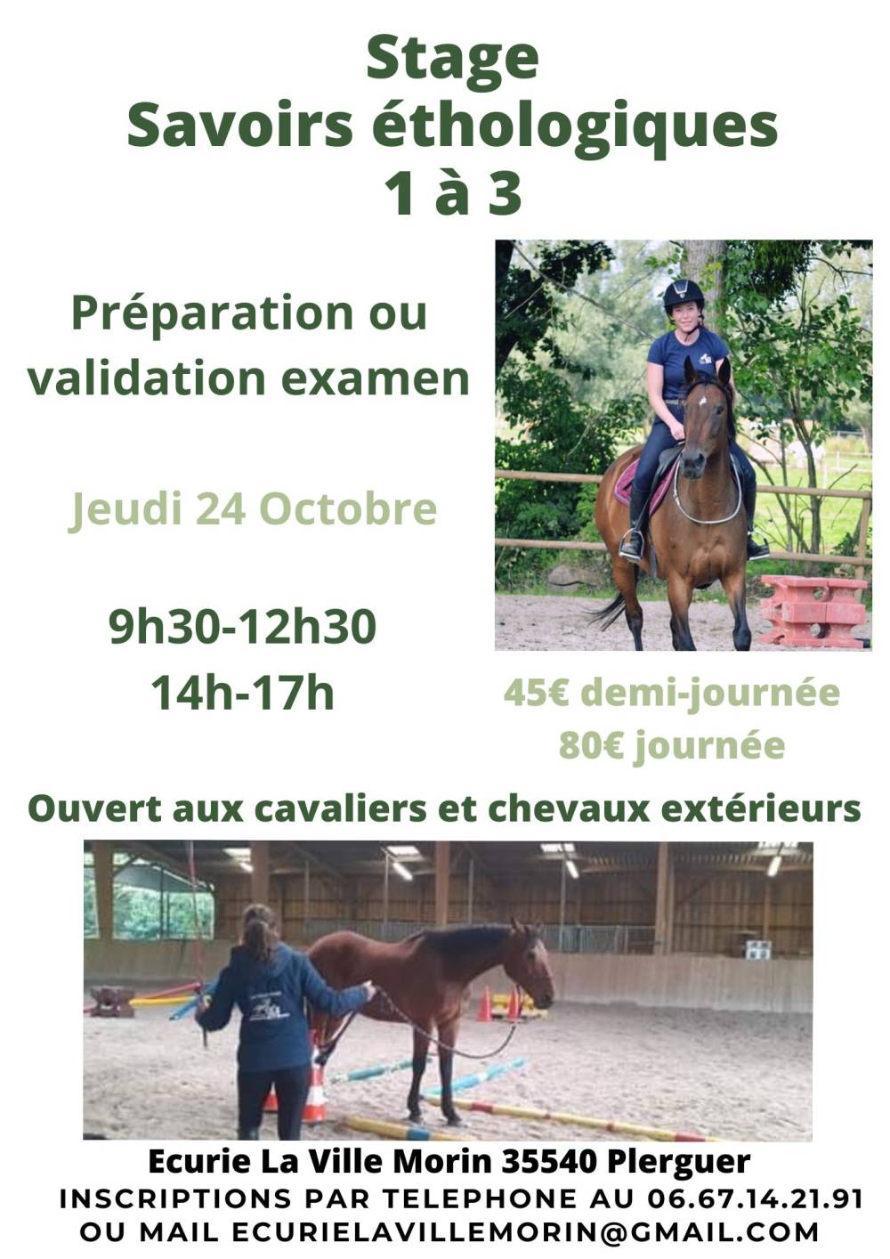 Stage savoir ethologique.pdf