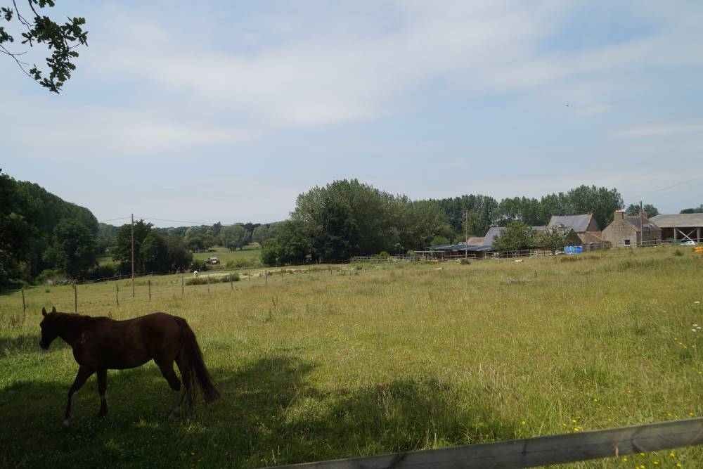 DSC00509