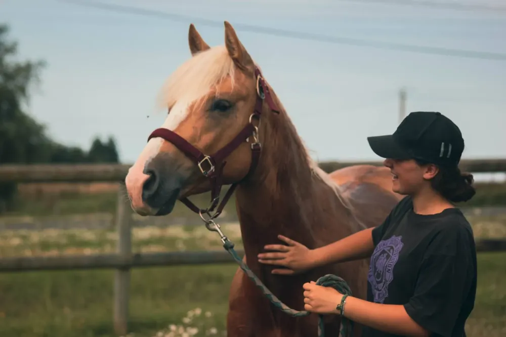 Stages développement personnel près de Miniac-Morvan