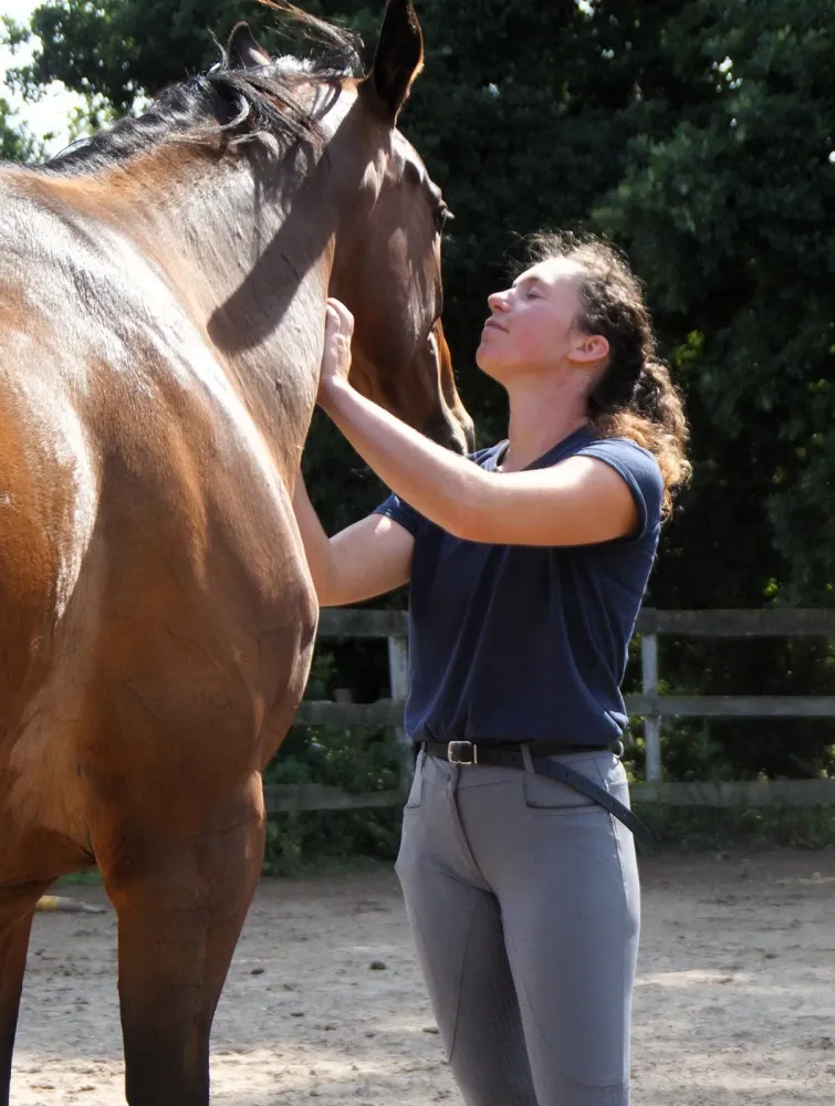 Équitation éthologique près de Miniac-Morvan