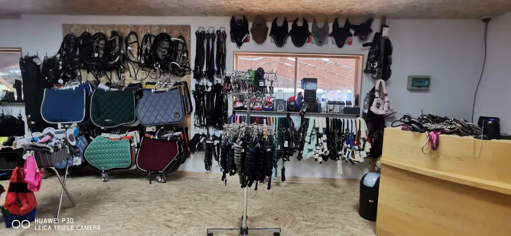 Sellerie près de Miniac-Morvan