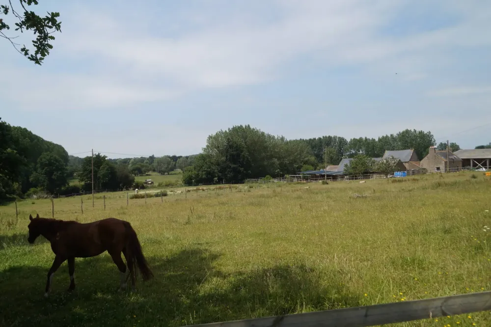 Gîtes équestres près de Miniac-Morvan