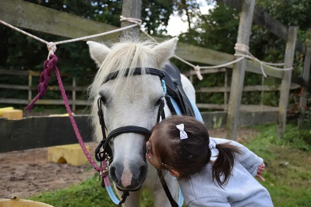 poney-enfant