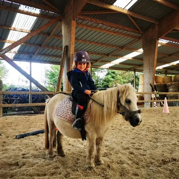 Poney club près de Miniac-Morvan