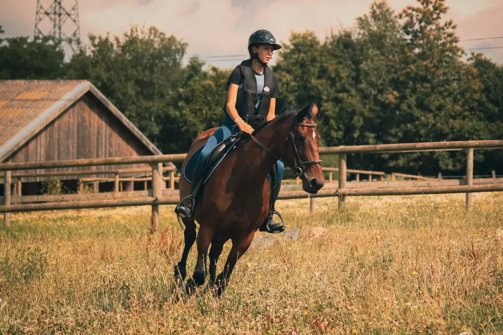 Centre équestre près de Miniac-Morvan