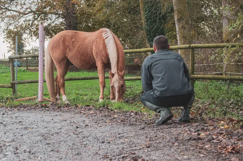 Equicoaching-61 (1)-min