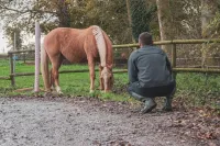 Equicoaching-61 (1)-min