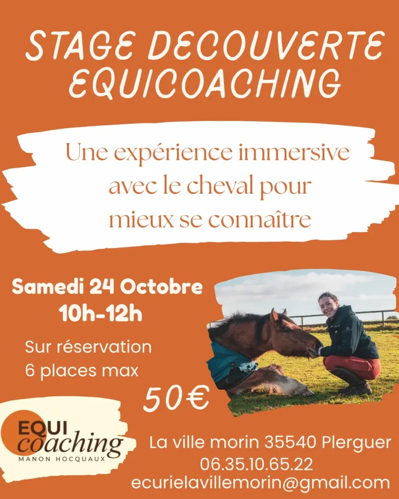_Visuels insta Equicoaching